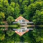 Fregata Bed and Breakfast Zagórze Śląskie